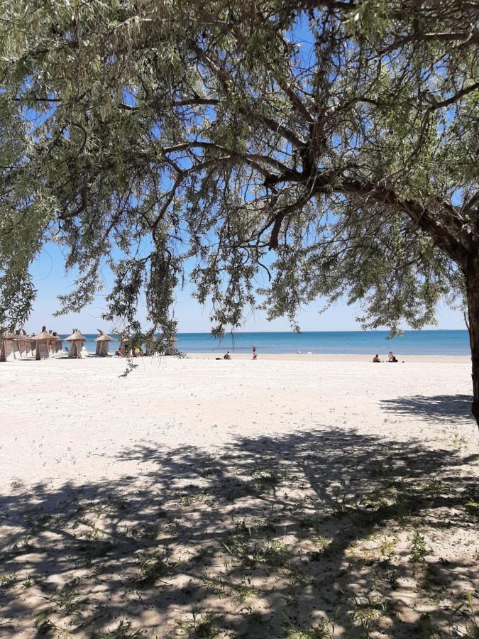 Eka Studio - Pool & Spa Beach Resort 那沃达利 外观 照片