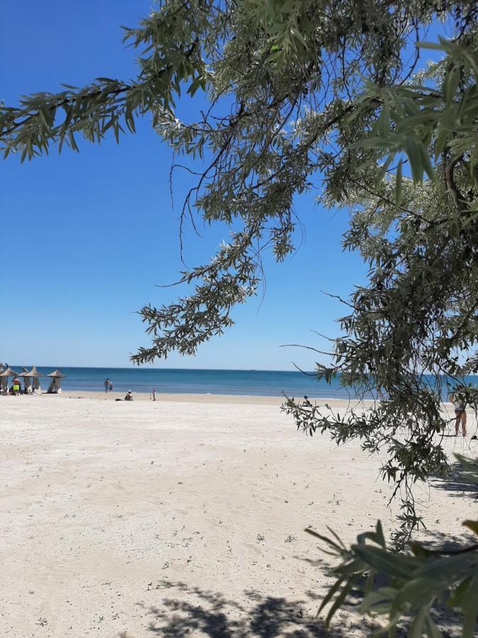 Eka Studio - Pool & Spa Beach Resort 那沃达利 外观 照片